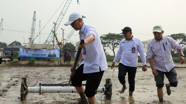 DKPP Kabupaten Serang Terapkan Pertanian Modern di Lahan 500 Hektare